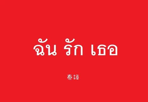 如何保证泰语翻译质量